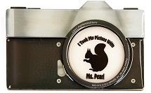 CAMERA PEARL MAGNET